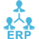 ERP Support